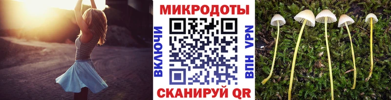 Галлюциногенные грибы прущие грибы  ОМГ ОМГ маркетплейс  Альметьевск  сколько стоит 