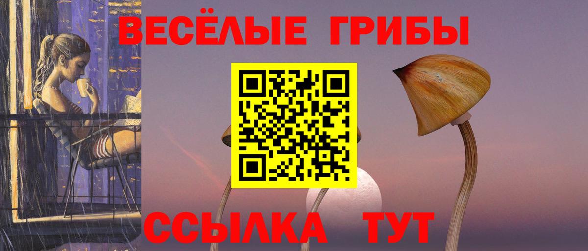 Псилоцибиновые грибы мухоморы Альметьевск
